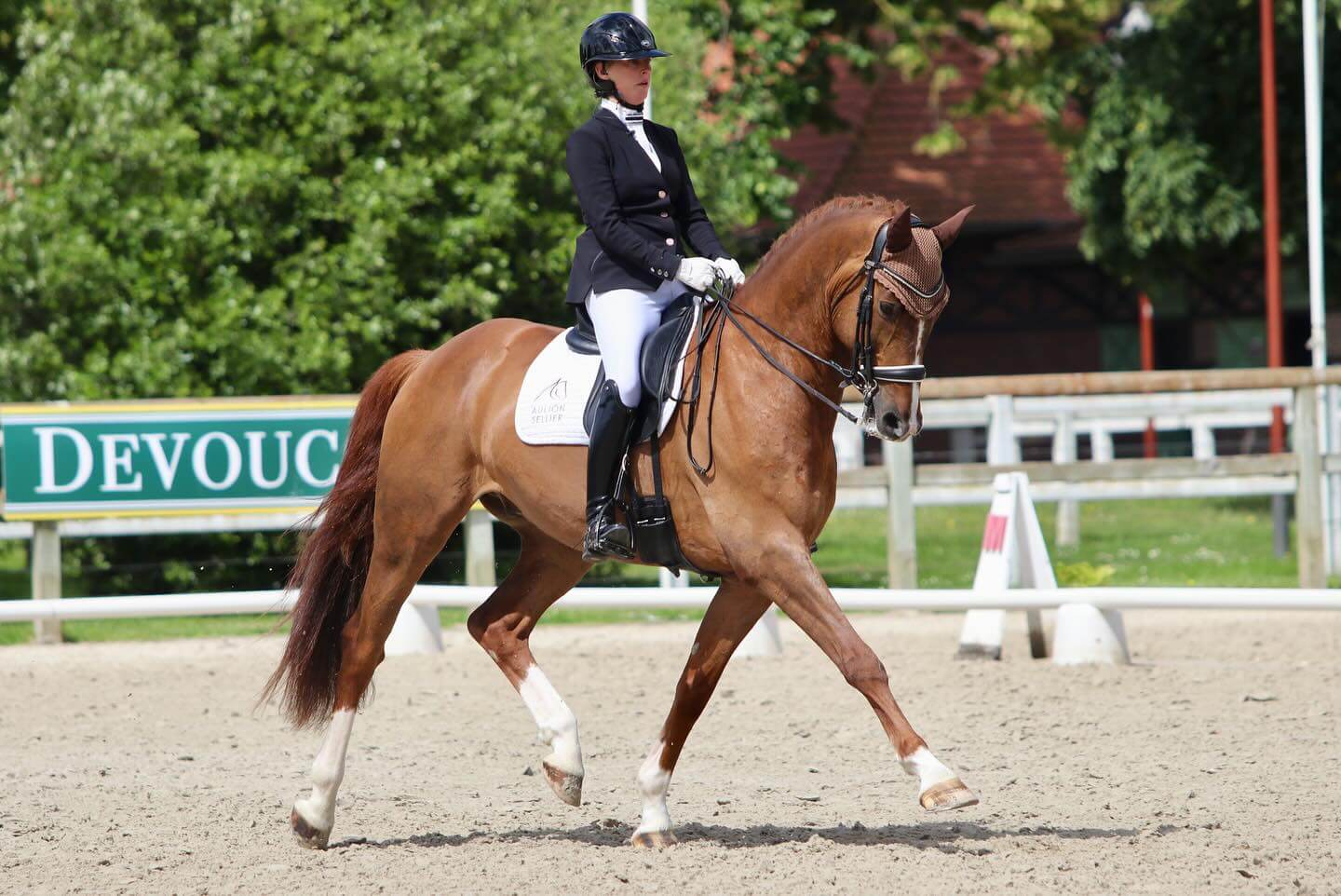 la bonne attitude à cheval en dressage