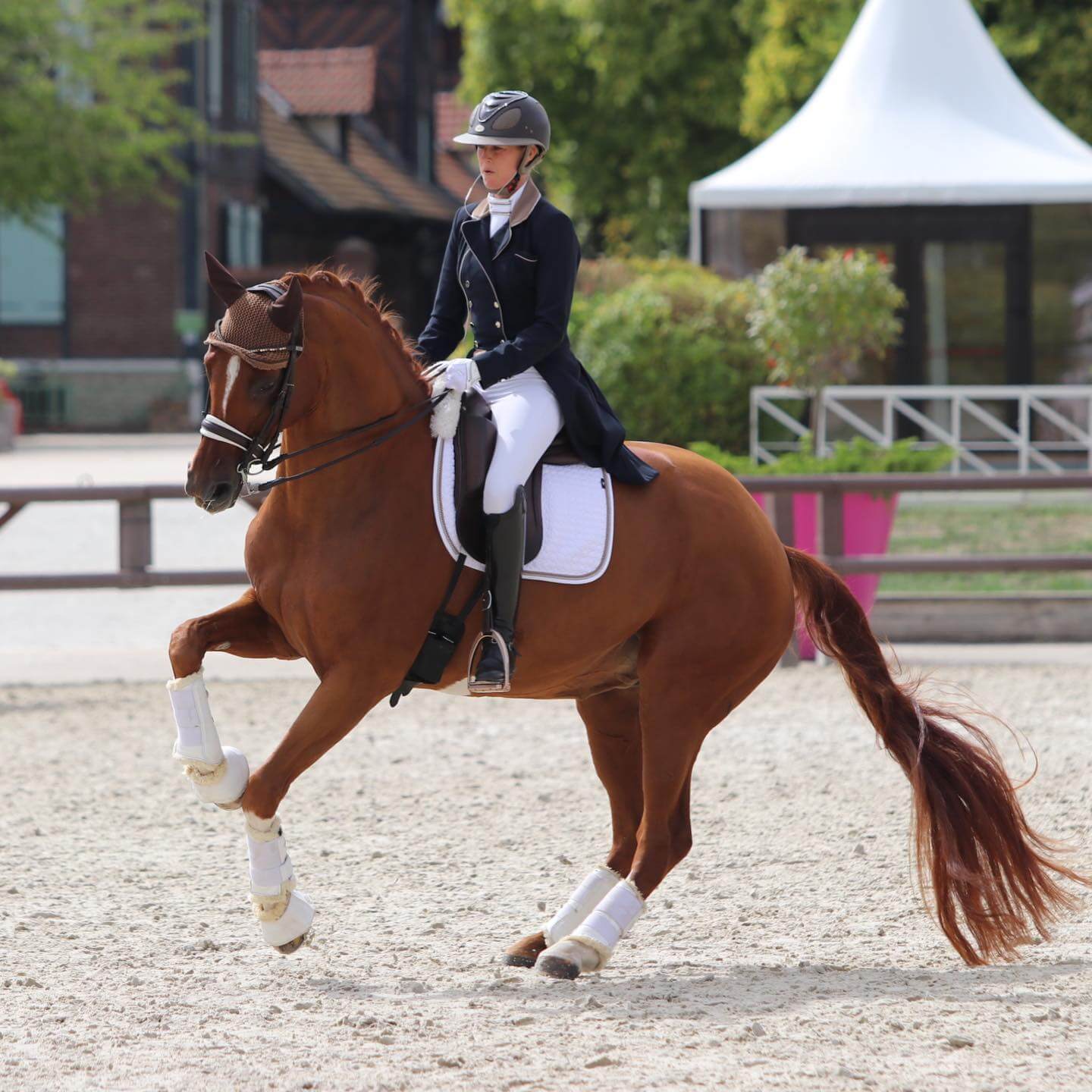 pirouette au galop dressage