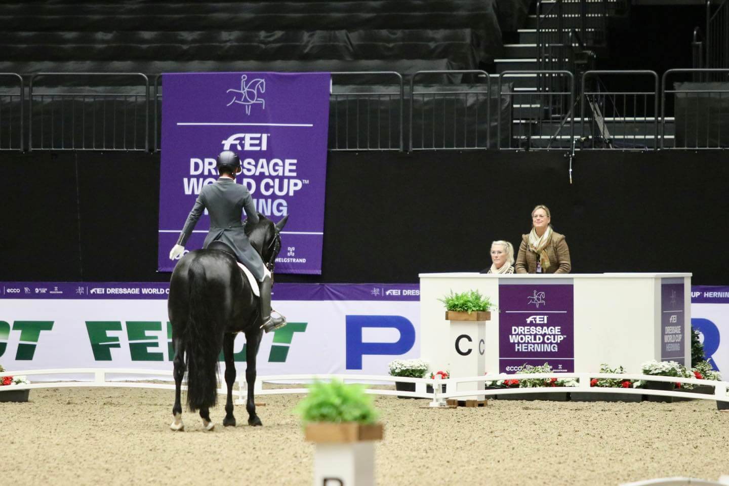 l'entrée en dressage