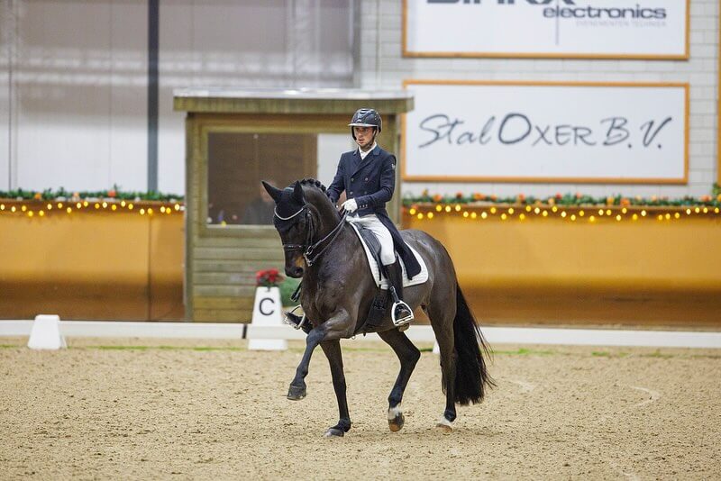 la rectitude à cheval dressage 