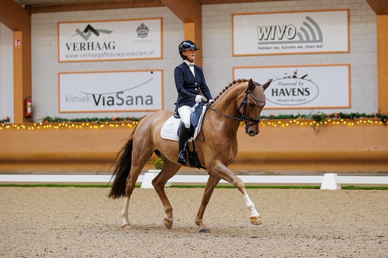 ferme à ferme transition dressage