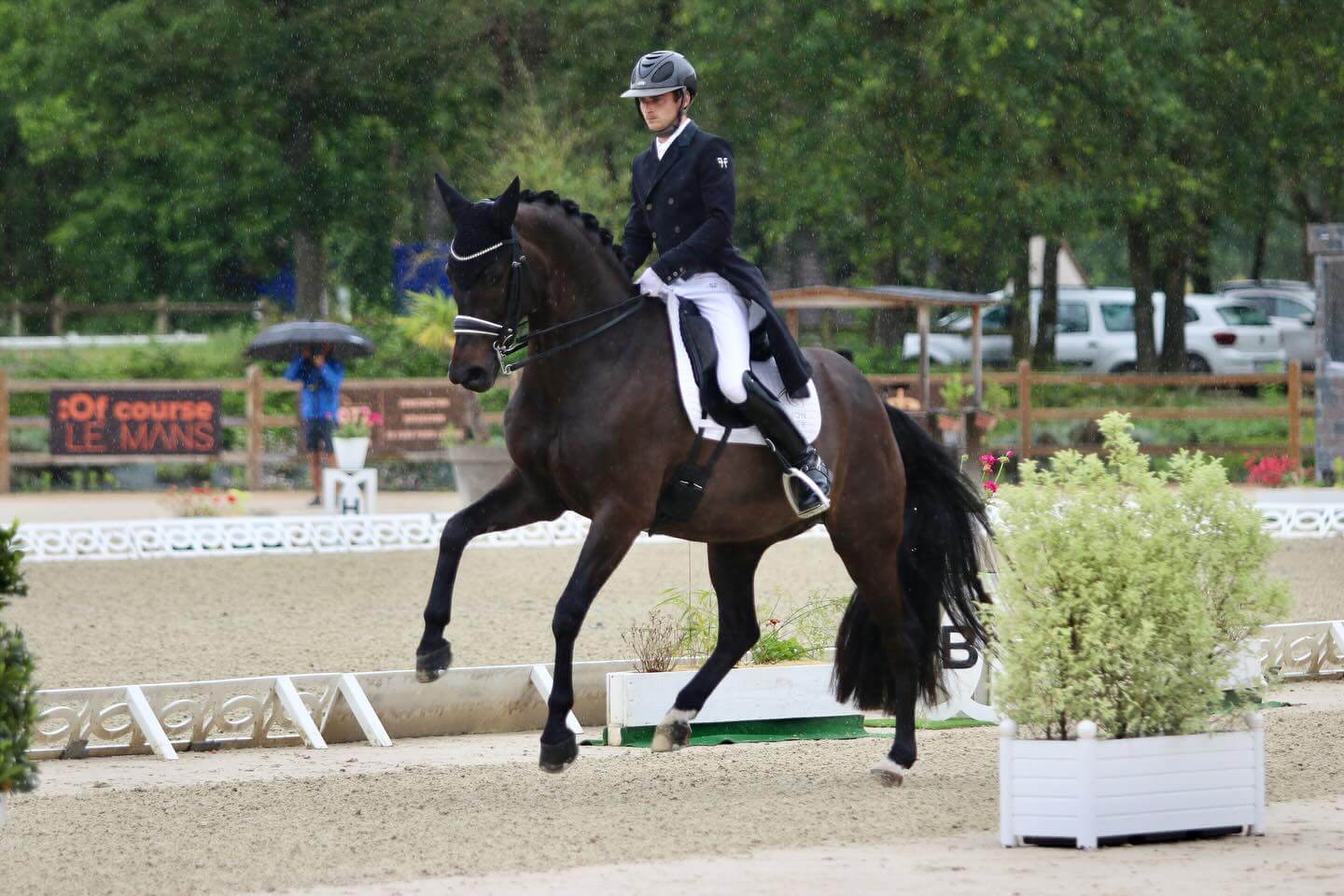 changement de pied dressage