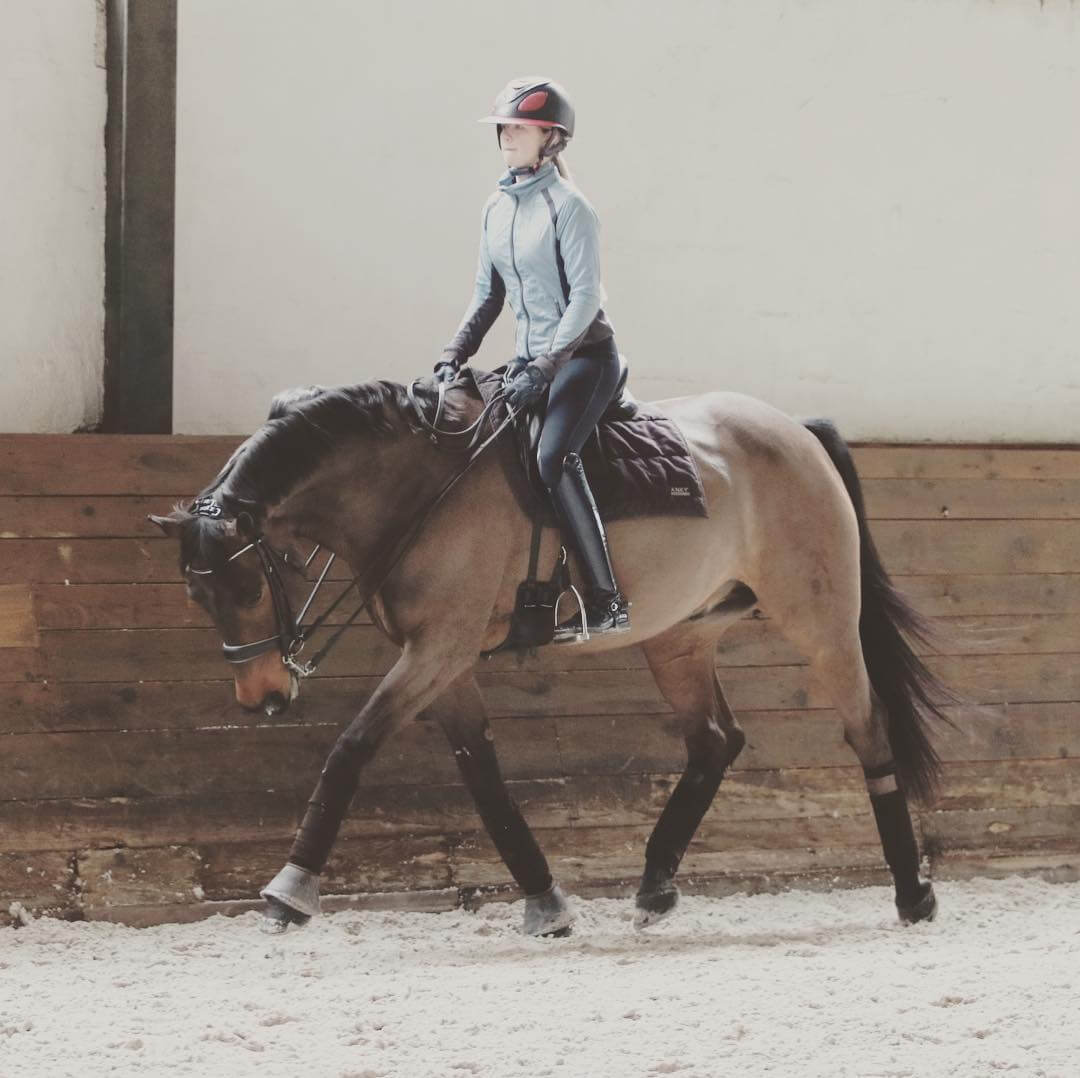 stretching cheval de dressage