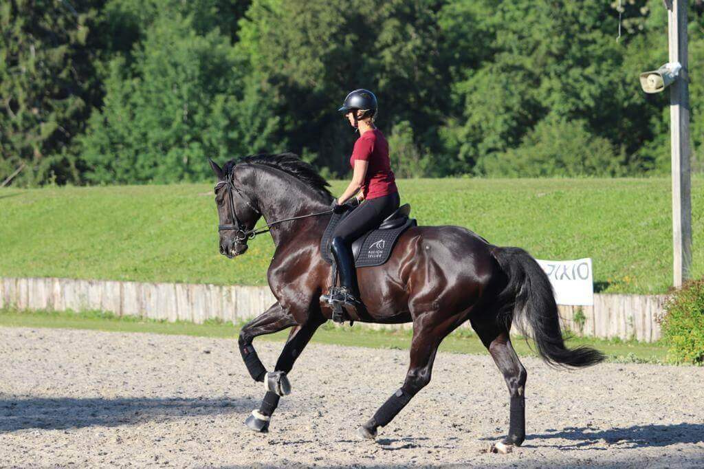 changements de pied au galop