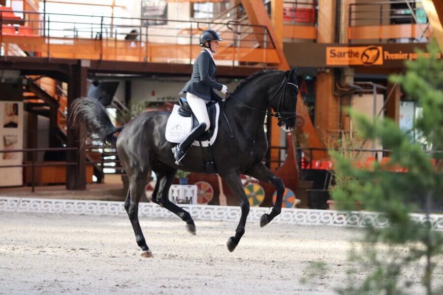 changement de pied au temps au galop dressage