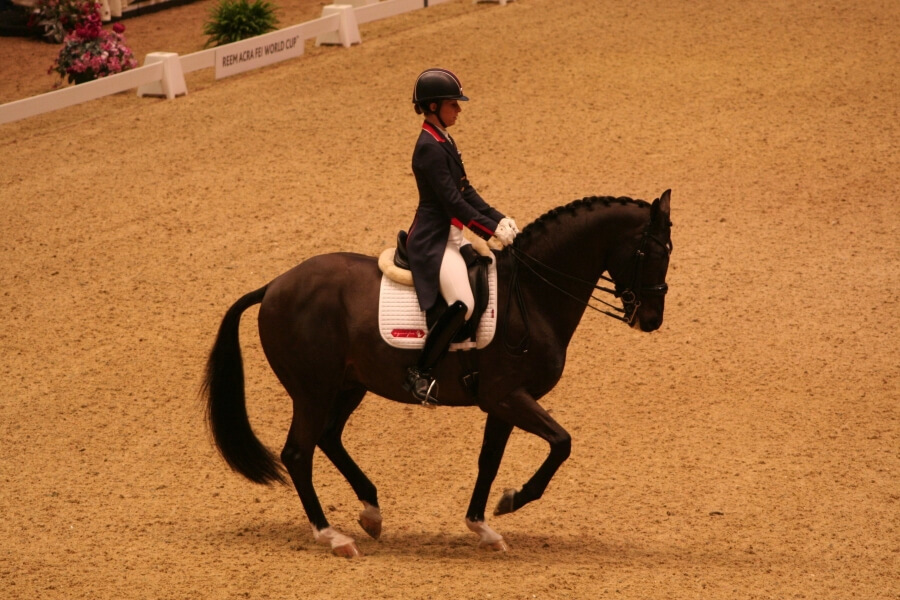 Tapis de dressage équitation Cheval - 900