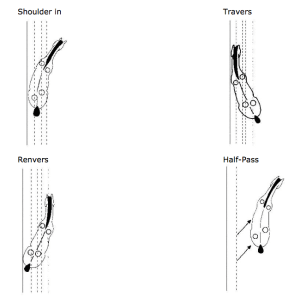 fei-dressage-rules-25th-edition-2015