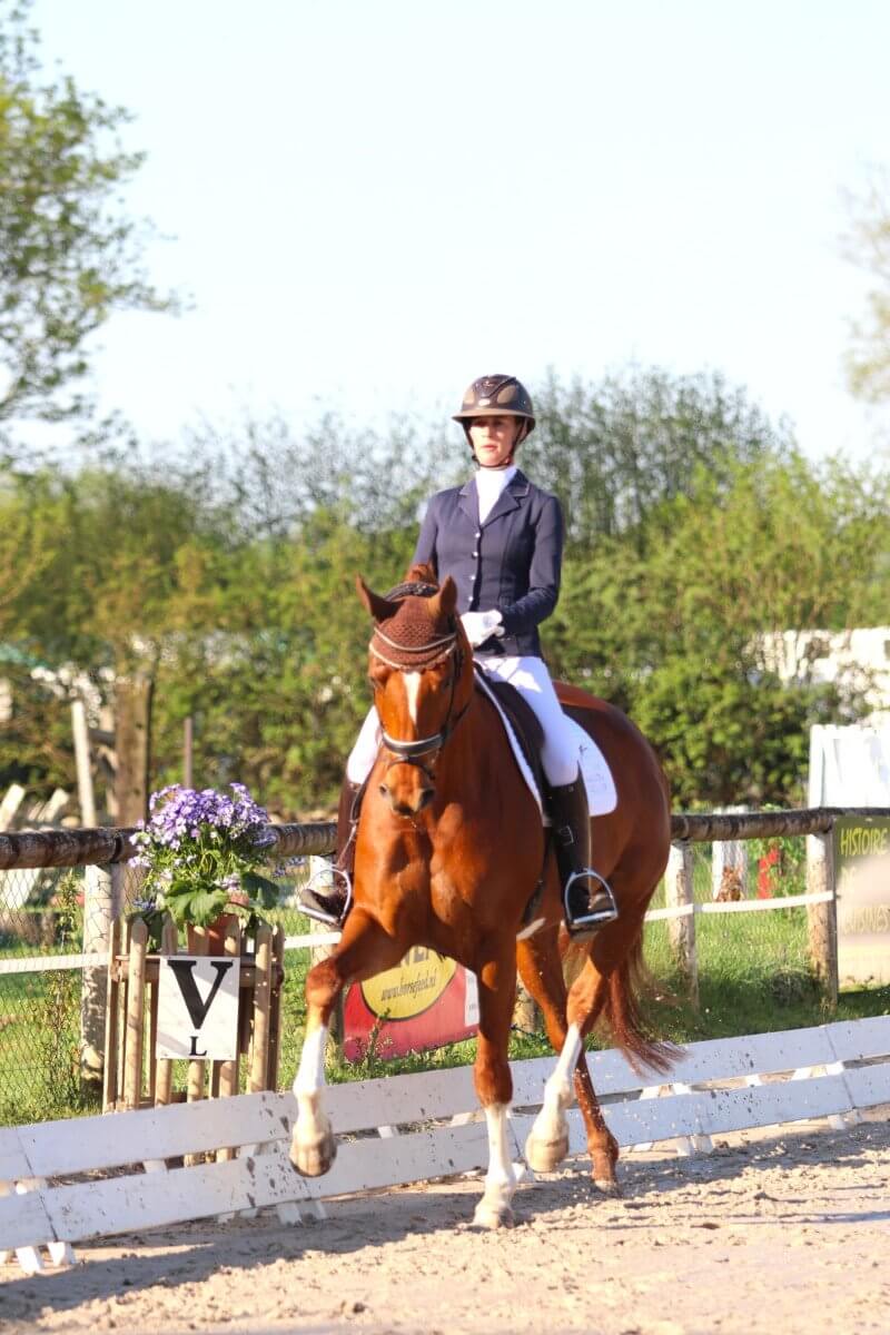 Technique Dressage : cession à la jambe, mode demploi - Blog - Pamfou  dressage vous accompagne et vous conseille