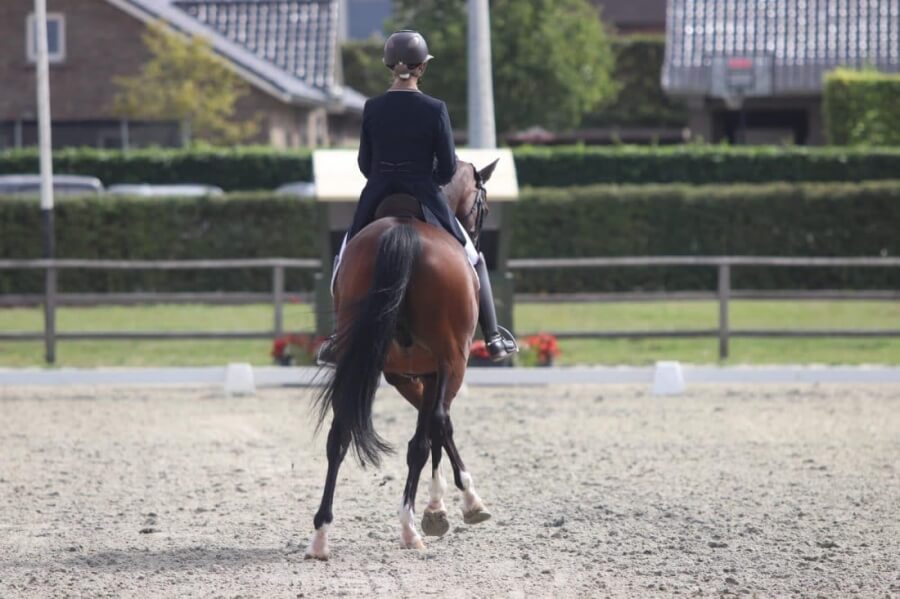 Tapis de dressage équitation Cheval - 900