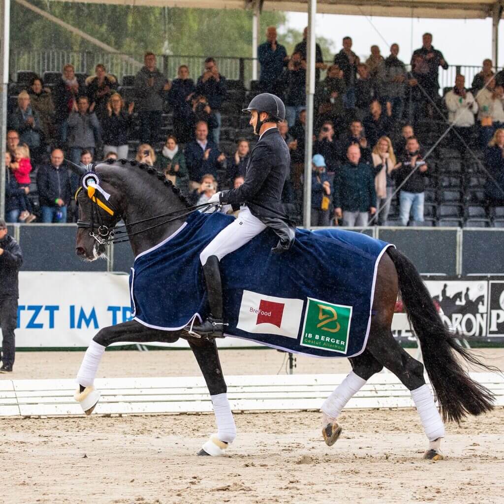 Andreas HELGRASTRAND et Jovian - FEI Championnats du monde Verden 202